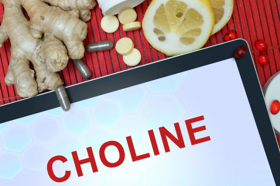 The Hidden Role of Choline in Pregnancy